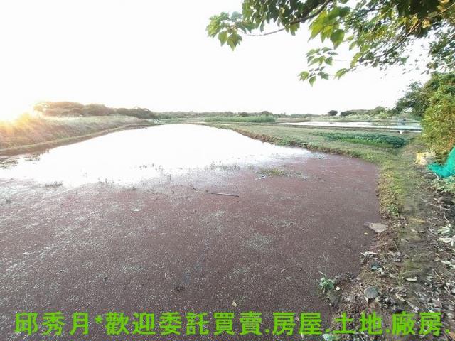 新北農地-1