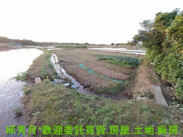 新北農地-2