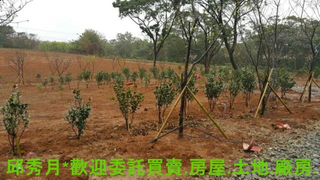 新北三芝農地-3