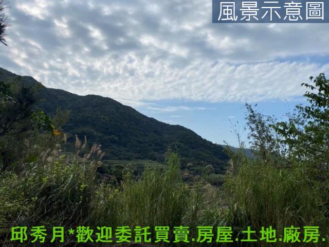 新北石門農地-4