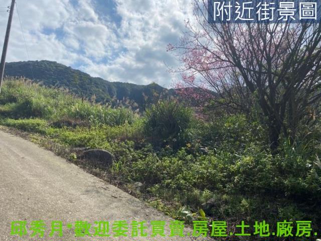 新北石門農地-6