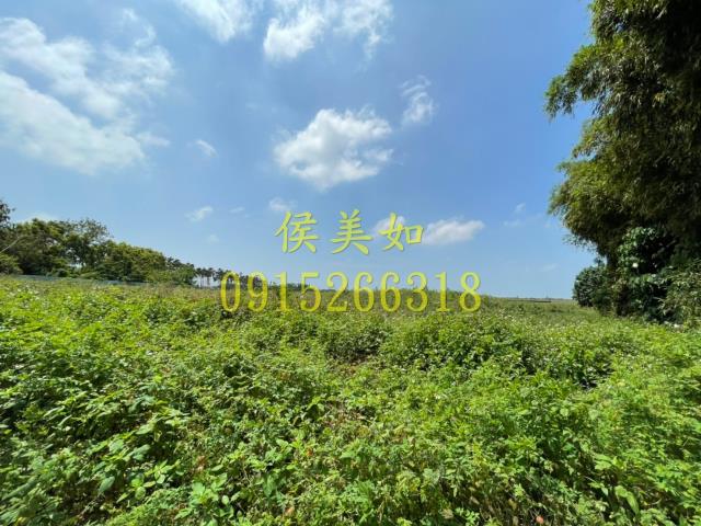 六腳農地-7