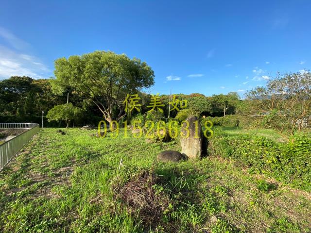 竹崎農地-11