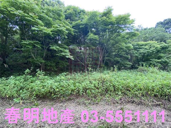 橫山農地-6