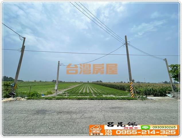 雲林四湖農地-2