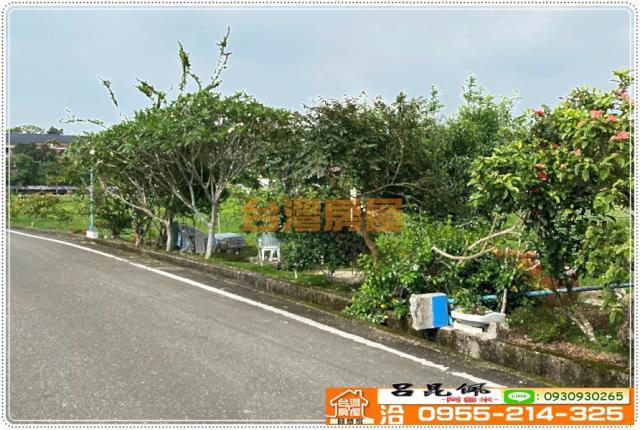 中埔農地-4