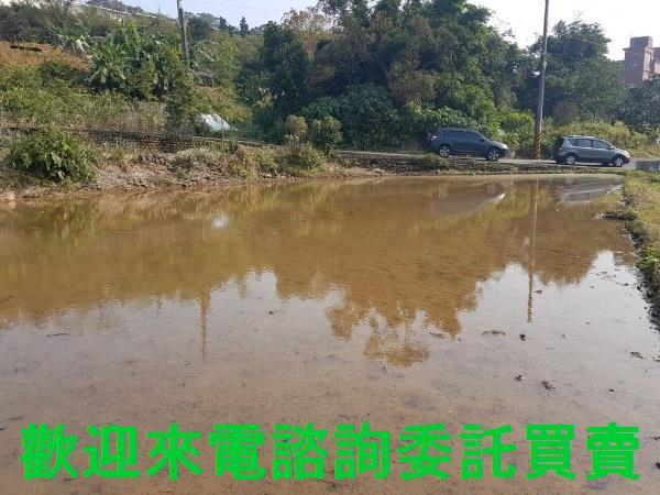 新北農地-2