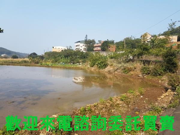 新北農地-4