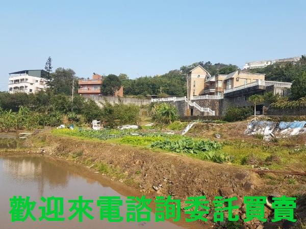 新北農地-5