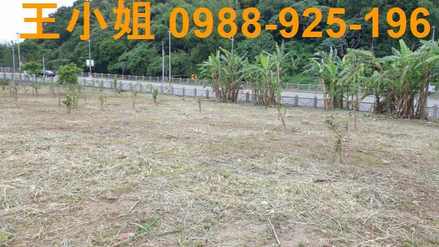 桃園農地-5