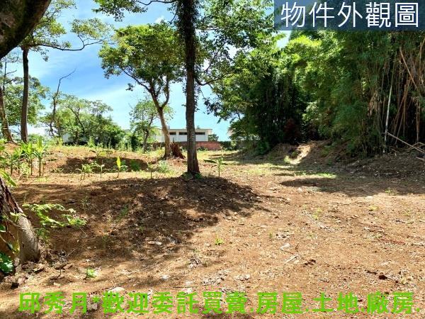 三芝農地-3