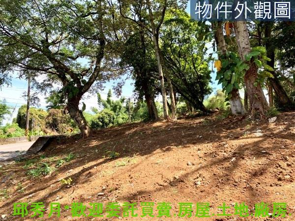 三芝農地-4