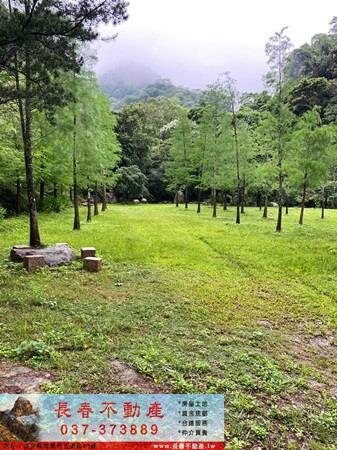 公館農地-2