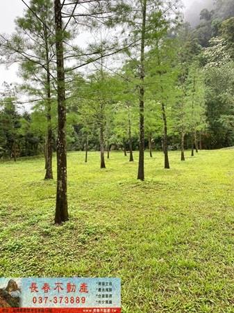 公館農地-3