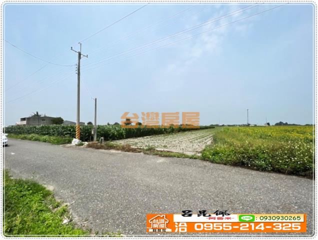 四湖農地-7