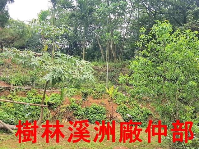 土城農地-3