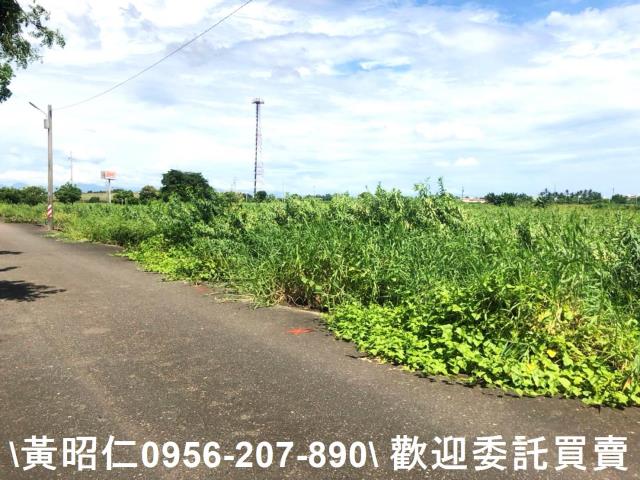 台南農地-5