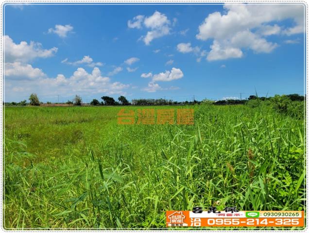 鹿草農地-5