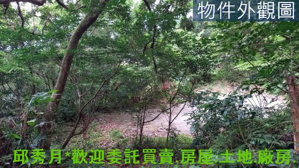 新北石門農地-3