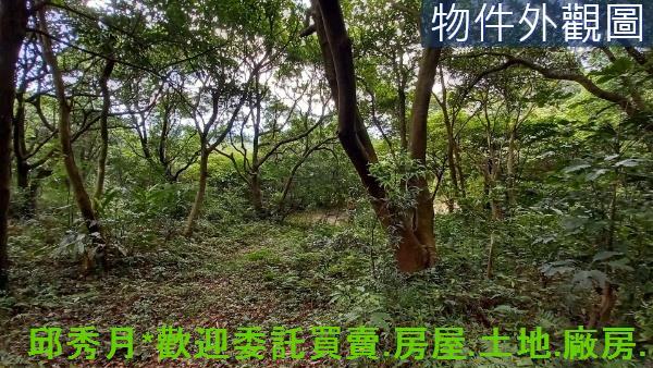 新北石門農地-4