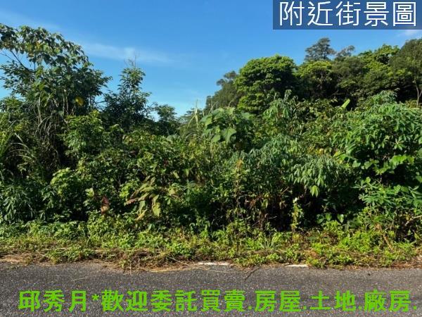 新北三芝農地-2