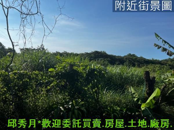 新北三芝農地-3