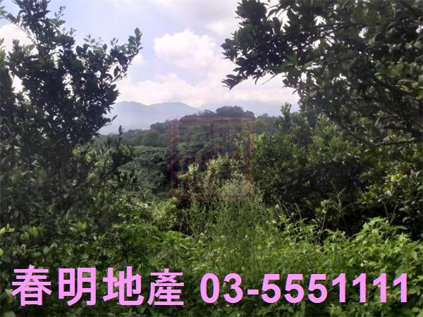 峨眉農地-3
