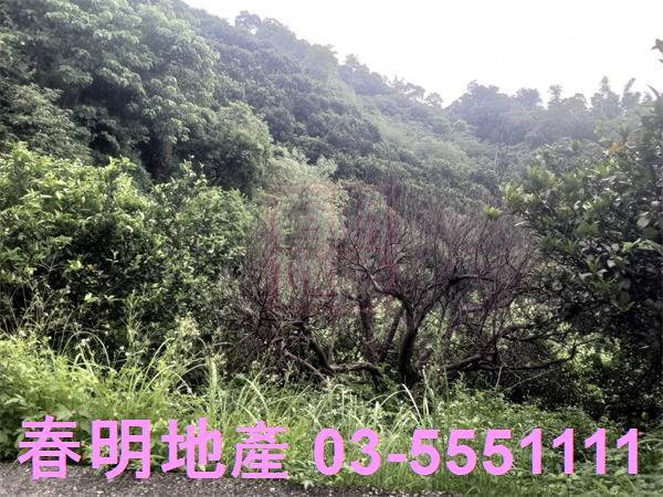 峨眉農地-4