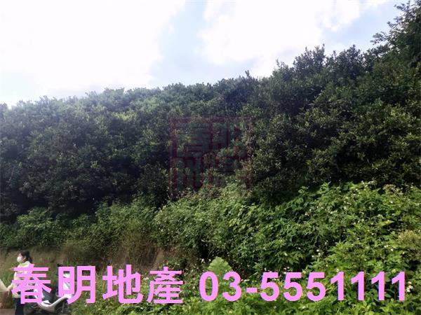 峨眉農地-5