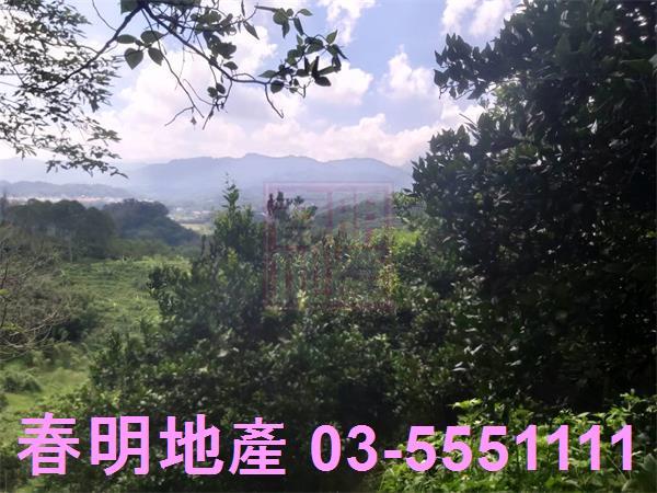 峨眉農地-7