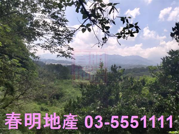 峨眉農地-8