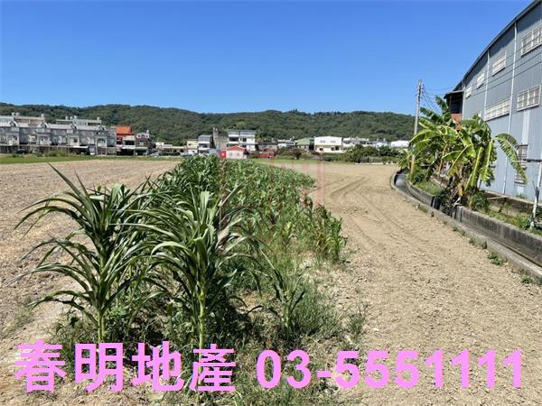新竹竹北農地-1