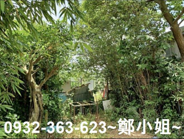 桃園新屋農地-2