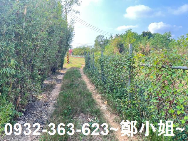 桃園新屋農地-5