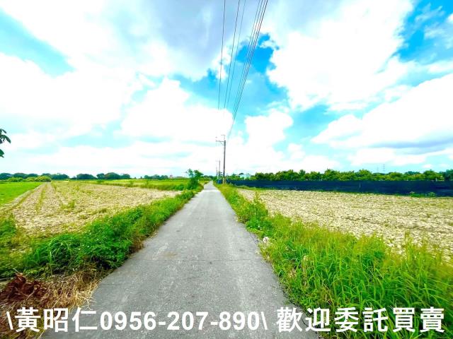善化農地-2