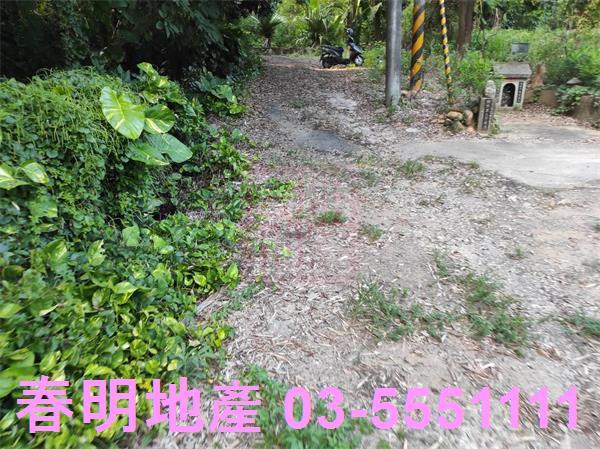 新埔農地-5