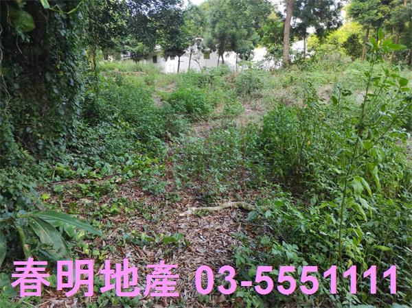 新埔農地-6