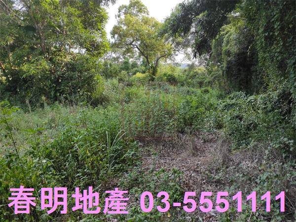 新埔農地-7