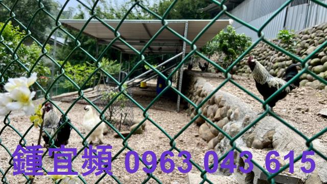 芎林農地-4