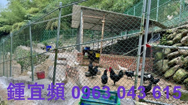 芎林農地-7
