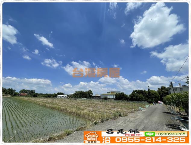 大林農地-3