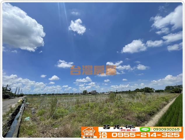 大林農地-5
