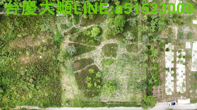 新竹新埔農地-10