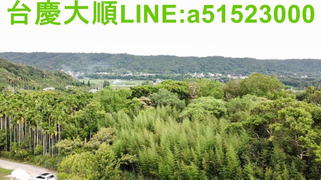 新竹新埔農地-15