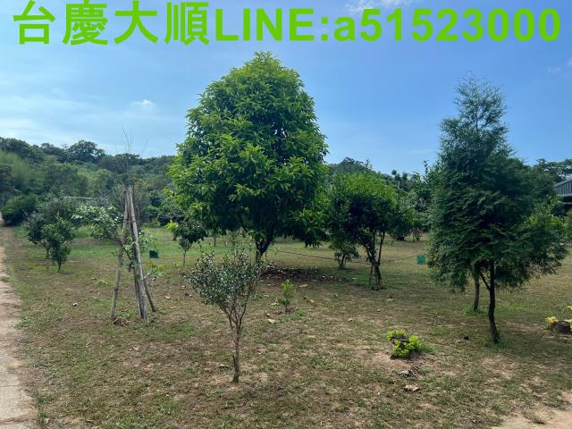 新竹新埔農地-3