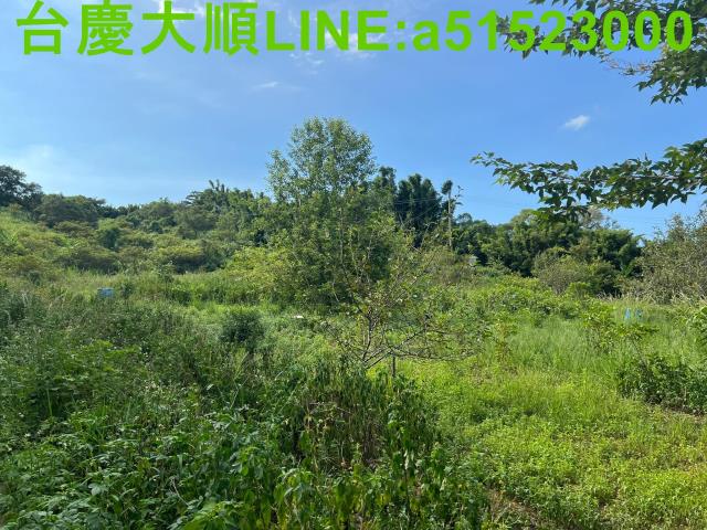 新竹新埔農地-4