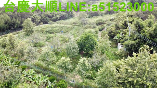 新竹新埔農地-7