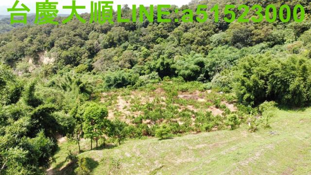 新竹農地-13