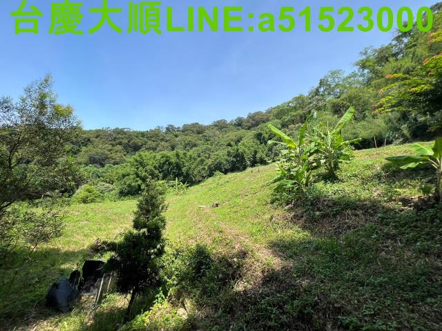 新竹農地-14