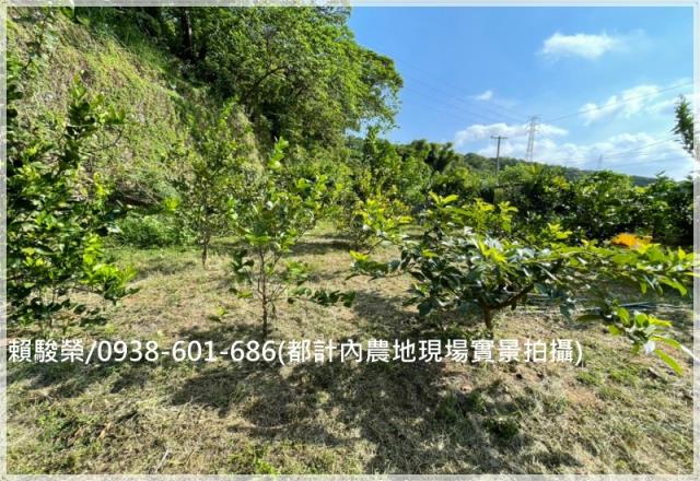 桃園楊梅都計內農地售